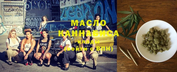 молекула духа Богданович