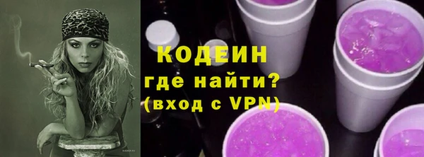 молекула духа Богданович