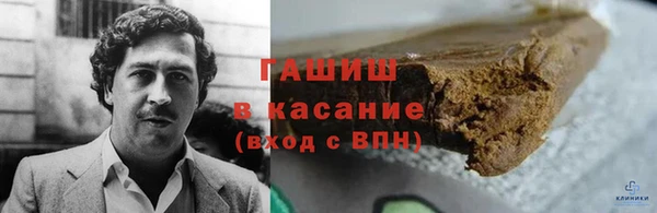 молекула духа Богданович