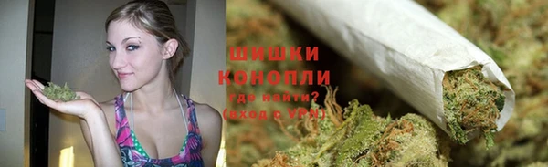 стаф Богородицк