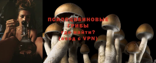 молекула духа Богданович