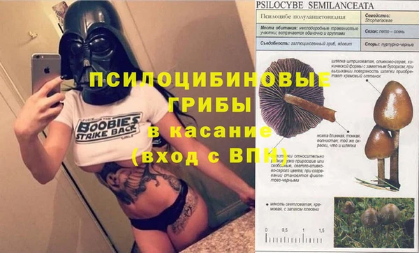 стаф Богородицк