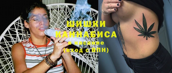 молекула духа Богданович
