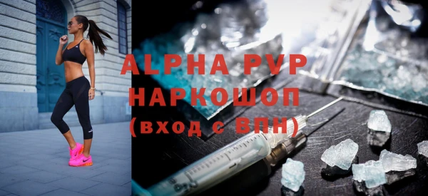 молекула духа Богданович