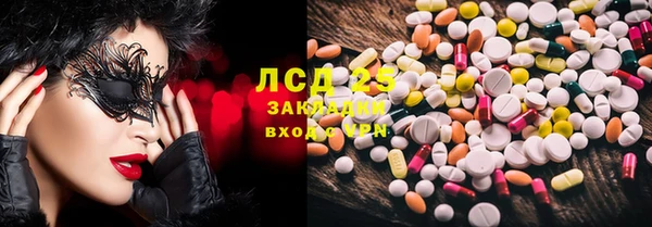 молекула духа Богданович