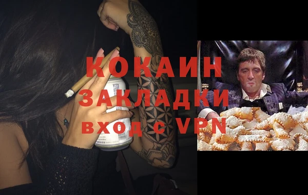 стаф Богородицк