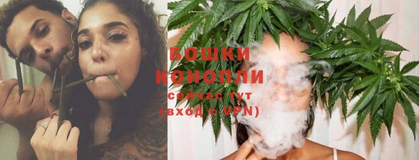 стаф Богородицк