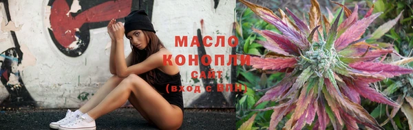 молекула духа Богданович