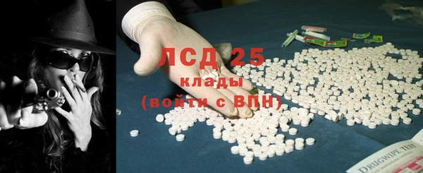 молекула духа Богданович