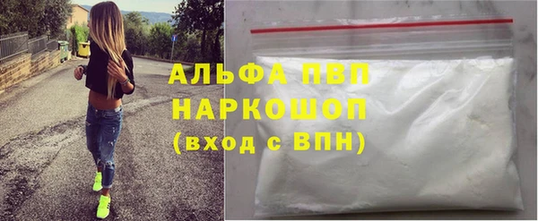 молекула духа Богданович