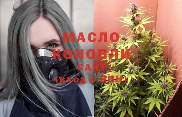 молекула духа Богданович