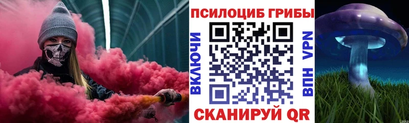 это формула  наркота  Старица  Псилоцибиновые грибы Psilocybe 